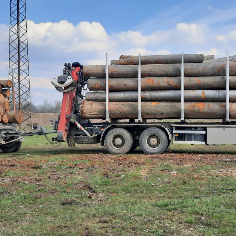 Strugara Radanovic 31