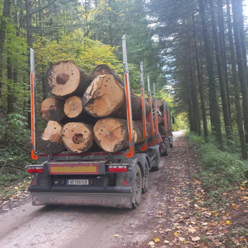 Strugara Radanovic 34