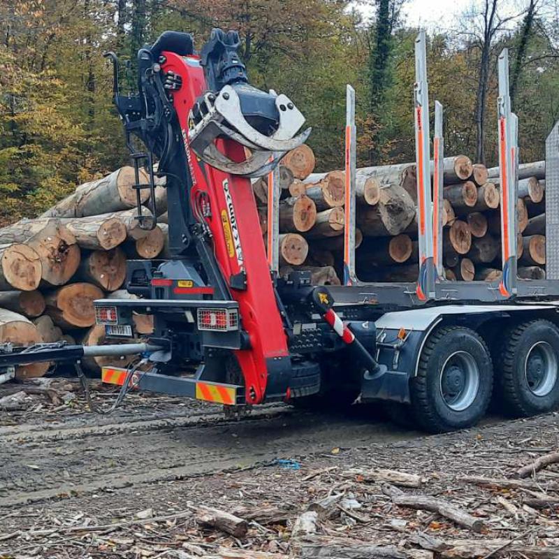 Strugara Radanovic 37