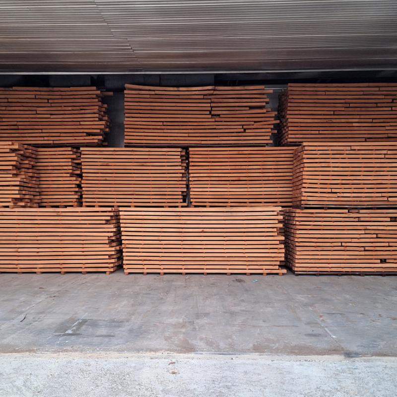 Strugara Radanovic11