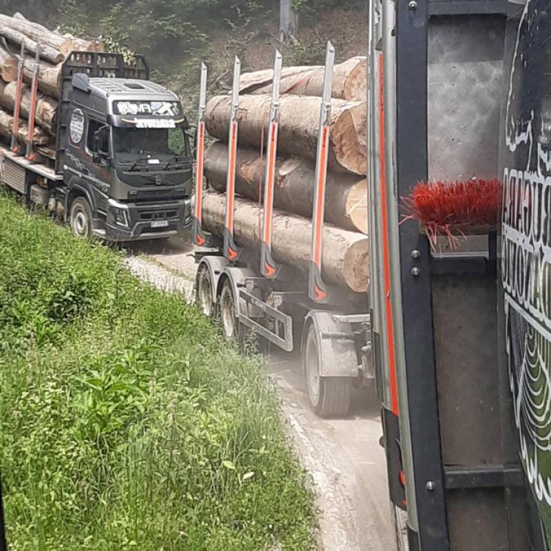 Strugara Radanovic13